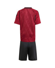 Kids Belgium Home Jersey Kit Euro 2024
