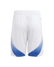 Italy Home Whole Kit(Jersey+Shorts+Socks) Euro 2024