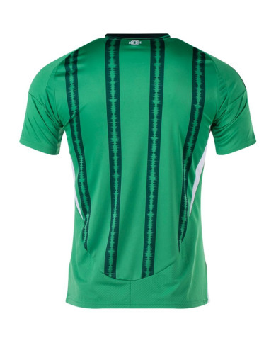 Northern Ireland Home Jersey 2024