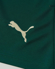 Portugal Home Shorts 2025