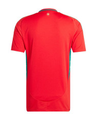 Wales Home Jersey 2024