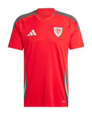Wales Home Jersey 2024