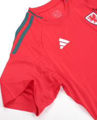 Wales Home Jersey 2024