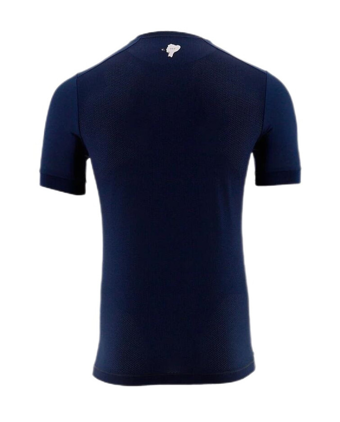 Ecuador Soccer Jersey Away Replica World Cup 2022