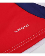 Women's Arsenal Home Jersey 2024/25