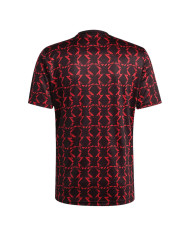 Manchester United Pre-Match Jersey 2024/25