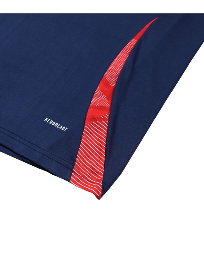 Manchester United Pre-Match Vest 2024/25