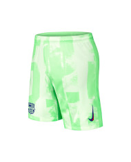Barcelona Third Soccer Shorts 2024/25